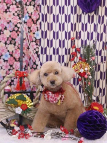 20250130モンチちゃん